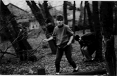 Click on thumbnail for larger image 